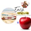 OZIPCO Ivermectin Horse Dewormer Apple Flavor Oral Paste-1