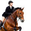 CLENVIA Horse Dewormer Syringes Effective Equine Care-2