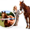 OZIPCO Ivermectin Horse Dewormer Apple Flavor Oral Paste-3