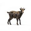 Manna Pro Medicated Goat Dewormer Complete Feed Eliminates-7