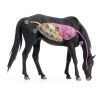 Bimectin Horse Dewormer Ivermectin Apple Flavor Syringe-5