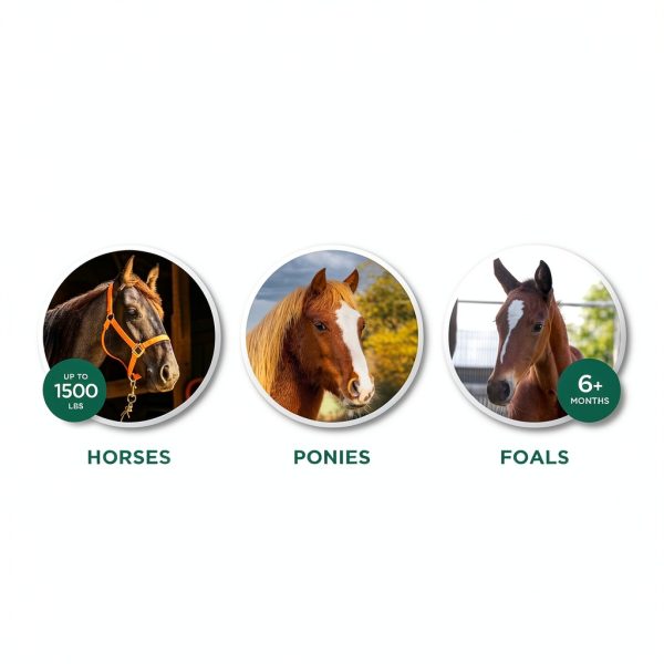 Quest Gel Horse Dewormer Broad Spectrum Treatment Zoetis-6