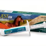 Quest Gel Horse Dewormer Broad Spectrum Treatment Zoetis-0