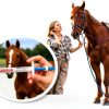 OZIPCO Ivermectin Horse Dewormer Apple Flavor Oral Paste-4