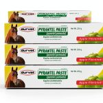Durvet Horse Dewormer Apple Flavor Safe Foals Mares-0