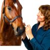 CLENVIA Apple Gel Horse Dewormer Syringe 3-Pack-4