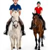 CLENVIA Horse Dewormer Syringes Effective Equine Care-5