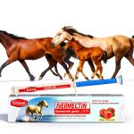 Dompook Ivermectin Paste Horse Dewormer Single Dose-0