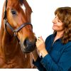 CLENVIA Apple Gel Horse Dewormer Syringe 3 Pack-3