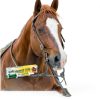 Merck Fenbendazole Dewormer Horse Care Apple Cinnamon Taste-6