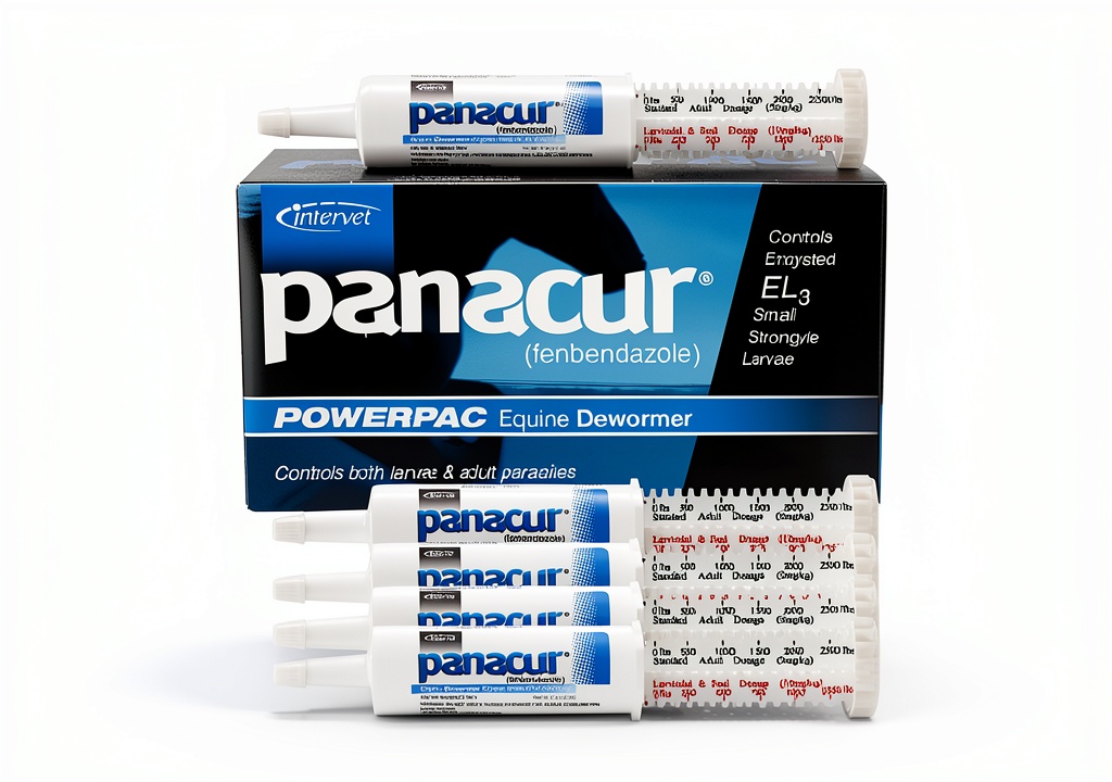 Administering Panacur Horse Dewormer to a horse in a stable