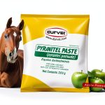 Horse Dewormer Apple Flavored Pinworm Roundworm Control-0