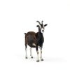 Manna Pro Medicated Goat Dewormer Complete Feed Eliminates-4