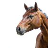 Central Garden Pet Horse Dewormer Apple Pellet Formula-6