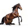VITAL VINE Horse Dewormer Apple Flavor Easy Use Formula-0