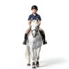 CLENVIA Horse Dewormer Syringes Effective Equine Care-1