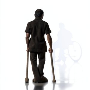 Publish Your Purpose Disability eBook Social Sciences-0