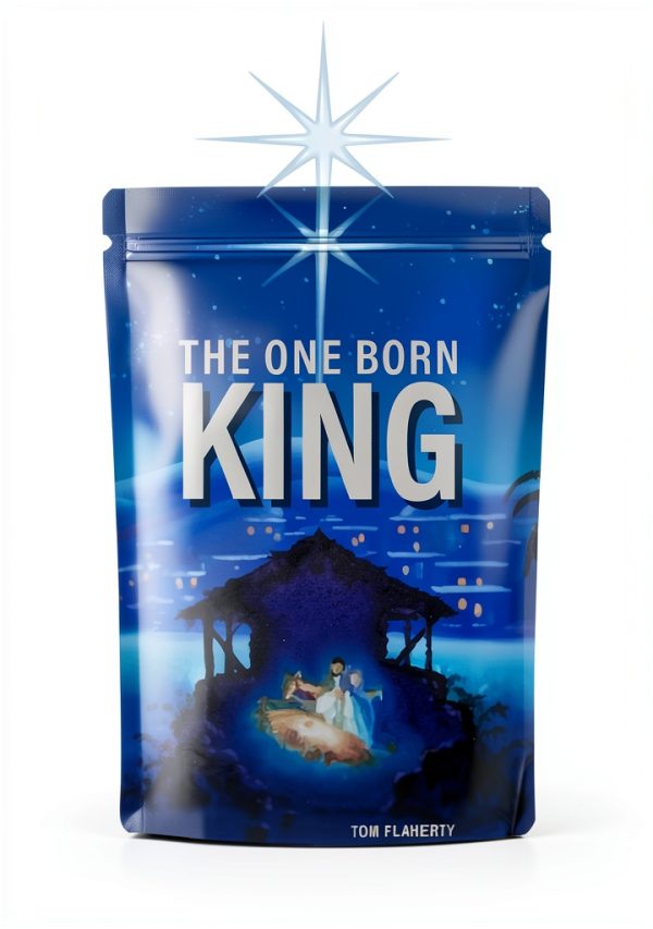 Christian Theology Kindle Book by Brand-0