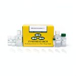 RNA Clean & Concentrator-5 Kit Zymo Research DNase >90% Recovery-0