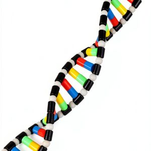 iplusmile DNA Double Helix Structure Models Kit Biological Science Popularization Teaching Aid for DNA Assembling, Educational Learning for School Student-0