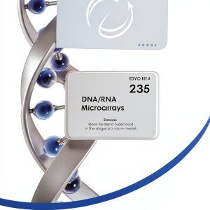 DNA RNA Microarrays Edvotek Kit 10 Groups 60min-0